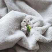 ヒメ日記 2026/03/29 12:22 投稿 らぴす 鶯谷デリヘル倶楽部