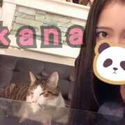 ヒメ日記 2026/02/10 18:43 投稿 かな 錦糸町人妻ヒットパレード（シンデレラグループ）