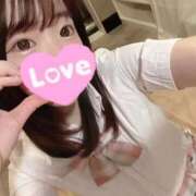 もな 上陸した😼🫶🏻 ホワイトハウス