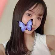 ヒメ日記 2025/11/29 12:55 投稿 めめ ハピネス東京