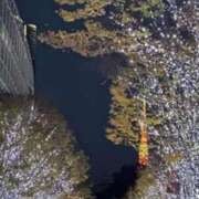 ヒメ日記 2025/12/29 17:19 投稿 長谷川　みか SM東京　新宿店