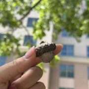 ヒメ日記 2026/03/22 23:39 投稿 長谷川　みか SM東京　新宿店