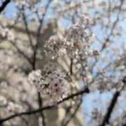 ヒメ日記 2026/04/01 23:39 投稿 長谷川　みか SM東京　新宿店