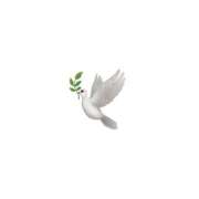 ヒメ日記 2026/03/18 12:03 投稿 りつ VIPクリスタル