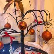 ヒメ日記 2025/12/23 17:43 投稿 ゆきの 胡蝶蘭