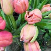 ヒメ日記 2026/02/22 10:29 投稿 ゆきの 胡蝶蘭