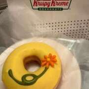 ヒメ日記 2026/02/22 19:37 投稿 ゆきの 胡蝶蘭