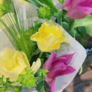 ヒメ日記 2026/03/01 10:40 投稿 ゆきの 胡蝶蘭