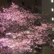 ヒメ日記 2026/04/02 20:45 投稿 りお Triple Pink(トリプルピンク)
