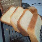 ヒメ日記 2026/01/31 00:00 投稿 きみか 熟女家 十三店