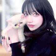 ヒメ日記 2025/11/25 22:02 投稿 さくらこ C.C.CATS