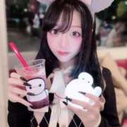 ヒメ日記 2025/11/28 11:02 投稿 さくらこ C.C.CATS