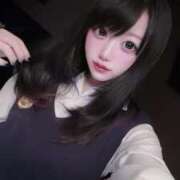 ヒメ日記 2025/11/29 14:02 投稿 さくらこ C.C.CATS