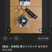 ヒメ日記 2025/11/30 17:22 投稿 さくらこ C.C.CATS