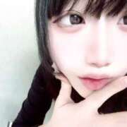 ヒメ日記 2025/12/02 22:42 投稿 さくらこ C.C.CATS