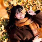 ヒメ日記 2025/12/05 20:22 投稿 さくらこ C.C.CATS