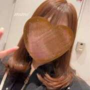 みみ ばっさり✂️‎🤍 サマンサ(和歌山)