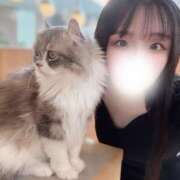 ヒメ日記 2025/12/02 22:29 投稿 うさ【揉めG乳エロさ最高潮】 セクシャル