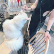 ヒメ日記 2026/03/13 18:09 投稿 うさ【揉めG乳エロさ最高潮】 セクシャル