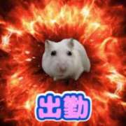 ヒメ日記 2025/11/30 13:47 投稿 すう 池袋モンデミーテ（シンデレラグループ）