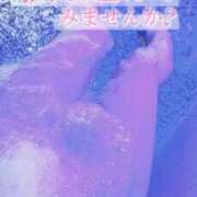 ヒメ日記 2026/01/24 18:17 投稿 すずは 池袋千姫