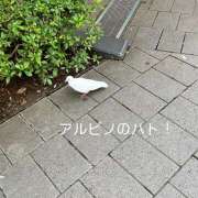 ヒメ日記 2025/12/24 16:20 投稿 えま ラブレター