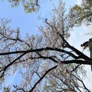 えま po ラブレター