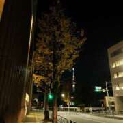 さら お散歩????(? ??? )? 錦糸町ティラミス（シンデレラグループ）