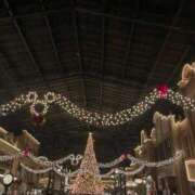 ヒメ日記 2025/12/13 19:32 投稿 さら 錦糸町ティラミス（シンデレラグループ）