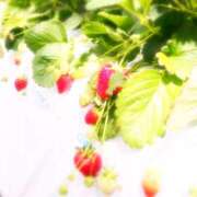 ヒメ日記 2025/12/24 14:40 投稿 かほ 奥鉄オクテツ東京店（デリヘル市場）