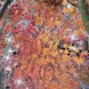 ヒメ日記 2025/12/07 15:11 投稿 高橋さつき プレジデントハウス