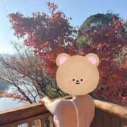 ヒメ日記 2025/12/09 12:17 投稿 高橋さつき プレジデントハウス