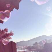 ヒメ日記 2025/12/16 10:07 投稿 高橋さつき プレジデントハウス