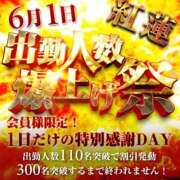 ヒメ日記 2026/05/29 10:00 投稿 ゆきみ 奥鉄オクテツ兵庫