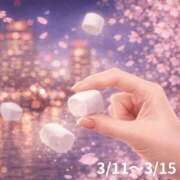 ヒメ日記 2026/03/08 16:01 投稿 ゆきみ 奥鉄オクテツ奈良