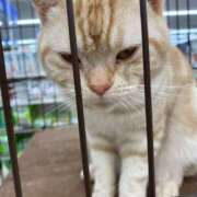 あこ 本日出勤します😃 佐賀人妻デリヘル 「デリ夫人」