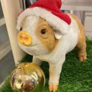 ヒメ日記 2025/12/24 23:18 投稿 れいら　奥様 SUTEKIな奥様は好きですか?