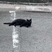 ヒメ日記 2025/12/01 01:19 投稿 いくら THE ESUTE HOUSE 柴田