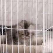 ヒメ日記 2026/03/13 05:56 投稿 いくら THE ESUTE HOUSE 柴田