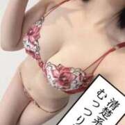 ヒメ日記 2025/12/12 11:06 投稿 最上かよ Claris Tokyo～クラリス東京～