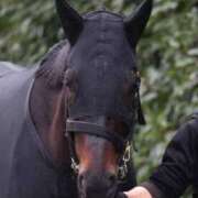 ヒメ日記 2025/12/28 14:00 投稿 マロ ドMな奥さん 十三店