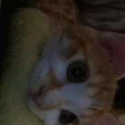 ヒメ日記 2026/04/16 11:51 投稿 あゆ ナメすぎサークル立川店