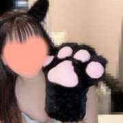 ヒメ日記 2025/12/23 10:08 投稿 イルカ 女の子市場