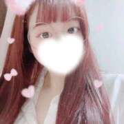 ヒメ日記 2026/01/29 12:28 投稿 イルカ 女の子市場