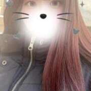 ヒメ日記 2026/02/11 09:18 投稿 イルカ 女の子市場