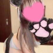 ヒメ日記 2026/03/08 22:08 投稿 イルカ 女の子市場