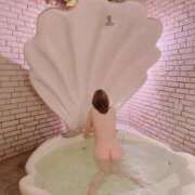 ヒメ日記 2025/11/26 21:46 投稿 つばき 尼妻（あまづま）