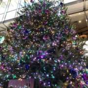 ヒメ日記 2025/11/25 23:33 投稿 美樹 出会い系人妻ネットワーク 上野〜大塚編