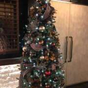 ヒメ日記 2025/11/28 21:22 投稿 美樹 出会い系人妻ネットワーク 上野〜大塚編