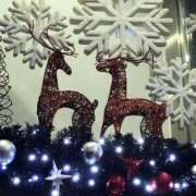 美樹 ご予約ありがとう❤️ 出会い系人妻ネットワーク 上野〜大塚編